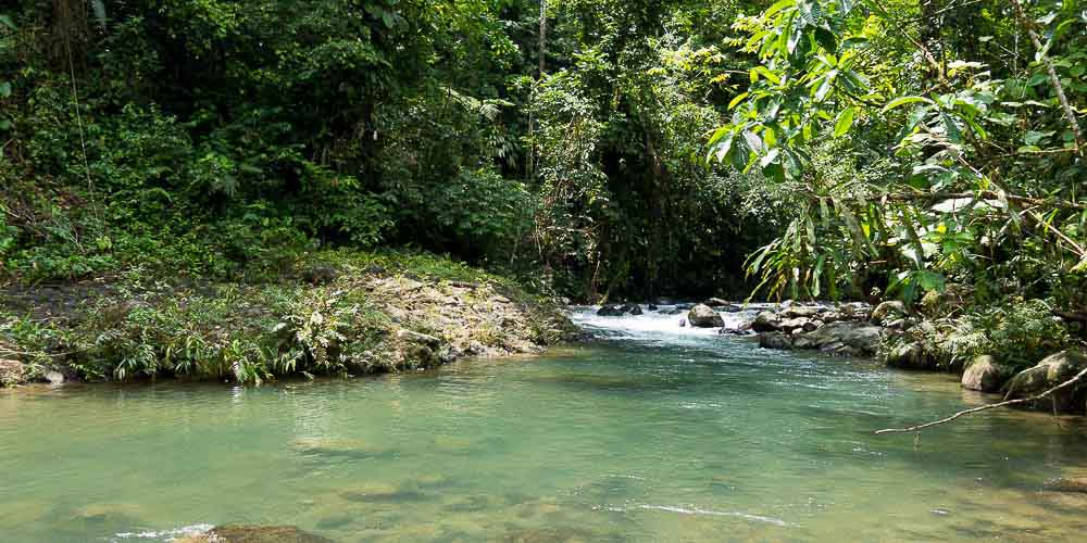 Nadar en el río